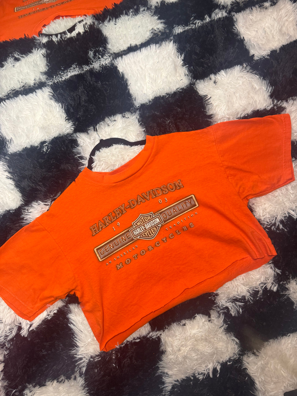 Curly’s HD Cropped